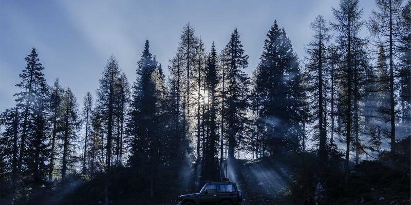 揭秘‘买医生’手术档期灰色产业链:健康管理背后的金钱与伦理博弈