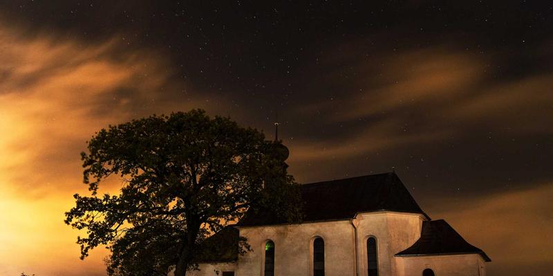 花钱买医生？深度解析通过医疗中介获取专家服务的利与弊